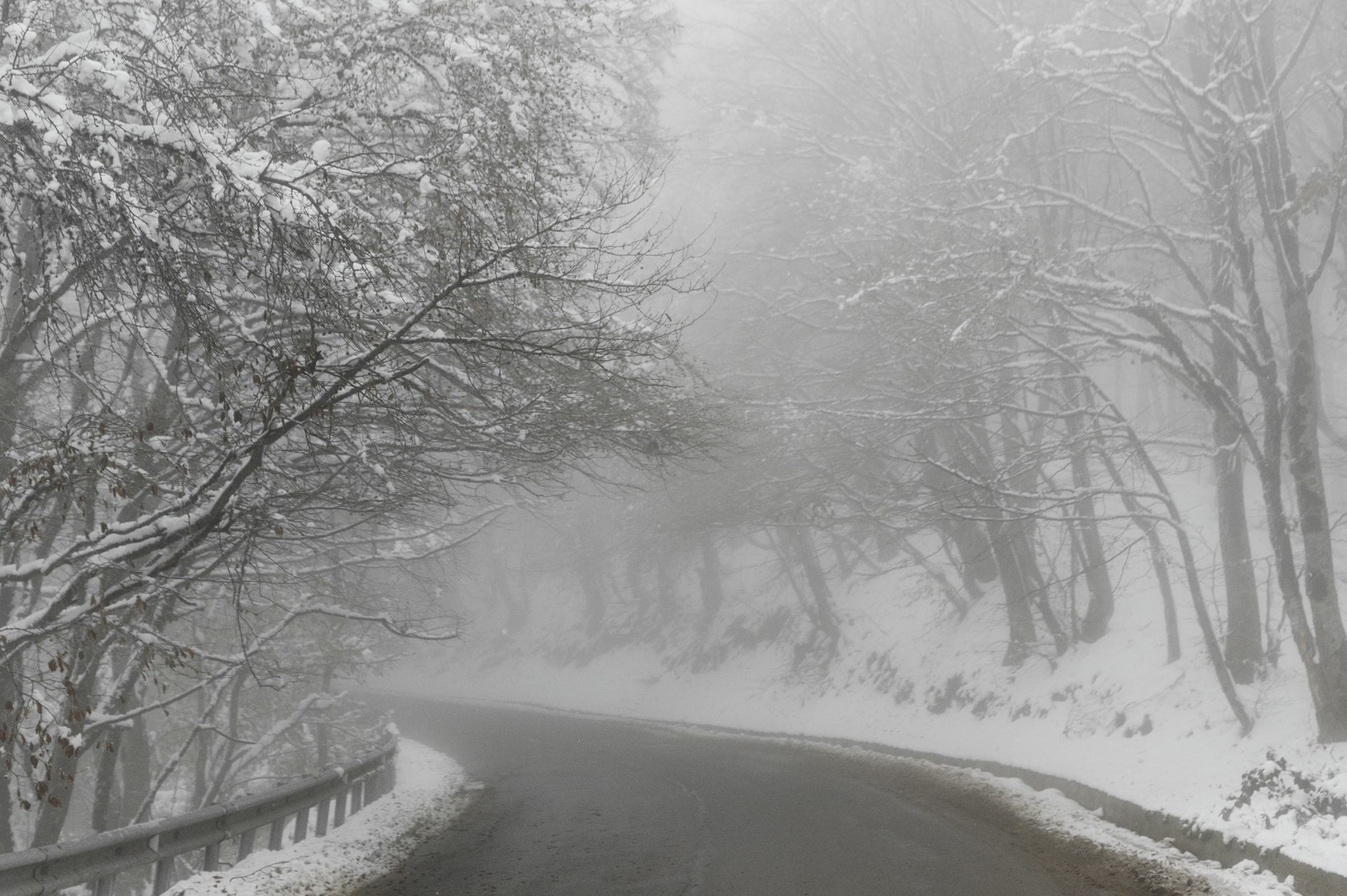 Depressing dark seasonal weather with snowy trees and road